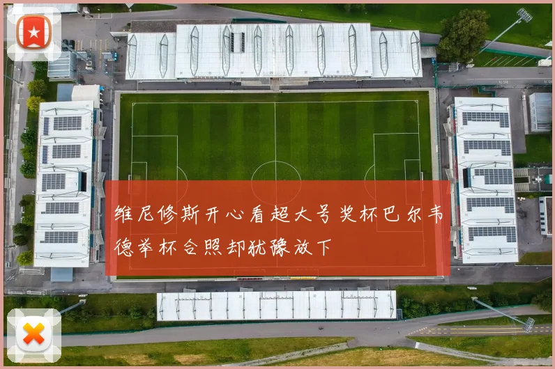 维尼修斯开心看超大号奖杯巴尔韦德举杯合照却犹豫放下