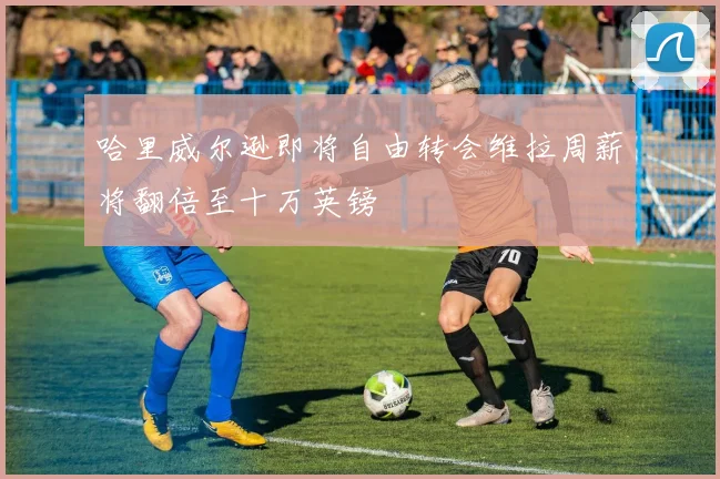 哈里威尔逊即将自由转会维拉周薪将翻倍至十万英镑