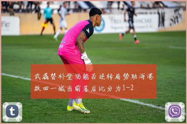 武磊替补登场能否逆转局势助海港扳回一城当前落后比分为1-2
