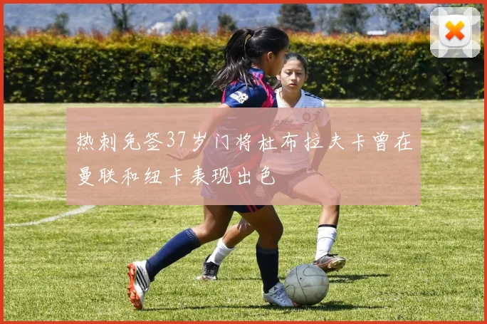 热刺免签37岁门将杜布拉夫卡曾在曼联和纽卡表现出色